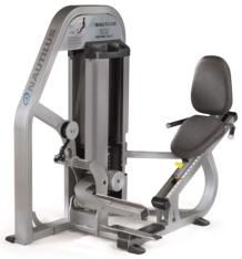 Seated Calf