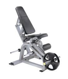Leg Extension