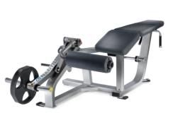 Leg Curl (Prone)
