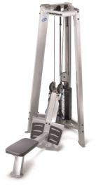 Dual Pulley Row