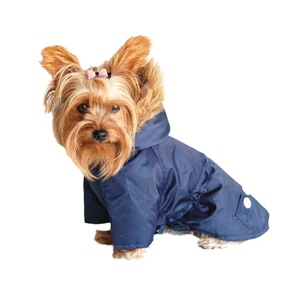 Anima Detective Coat - Blue - Large AN10404BL-L