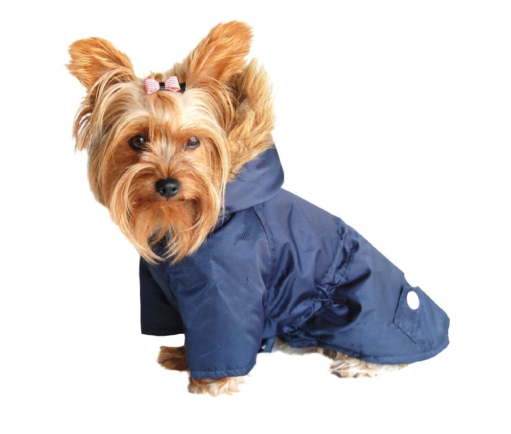 Anima Detective Coat - Blue - XSmall