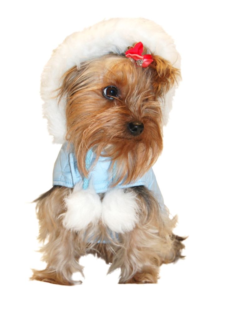 Anima Snow Princess Coat - Blue - Small