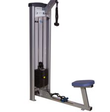 Bicep Curl & Tricep Extension