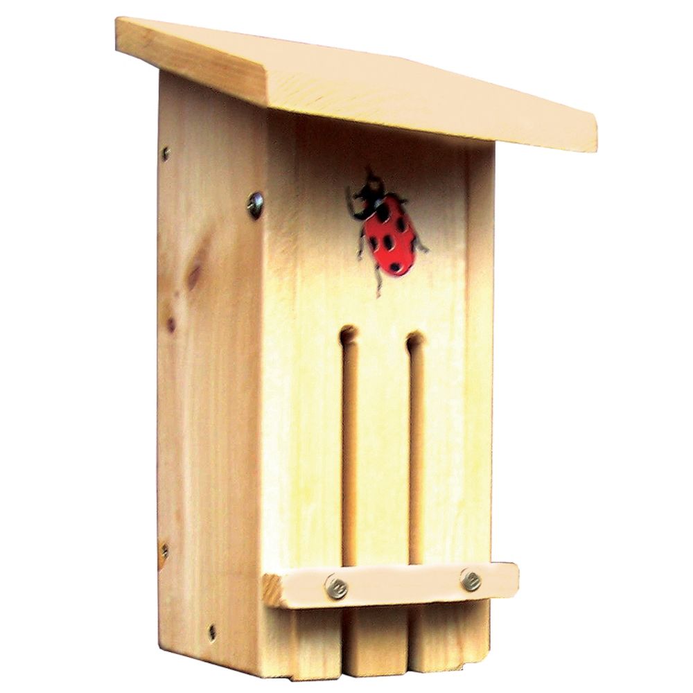 Stovall Wood Small Ladybug Habitat