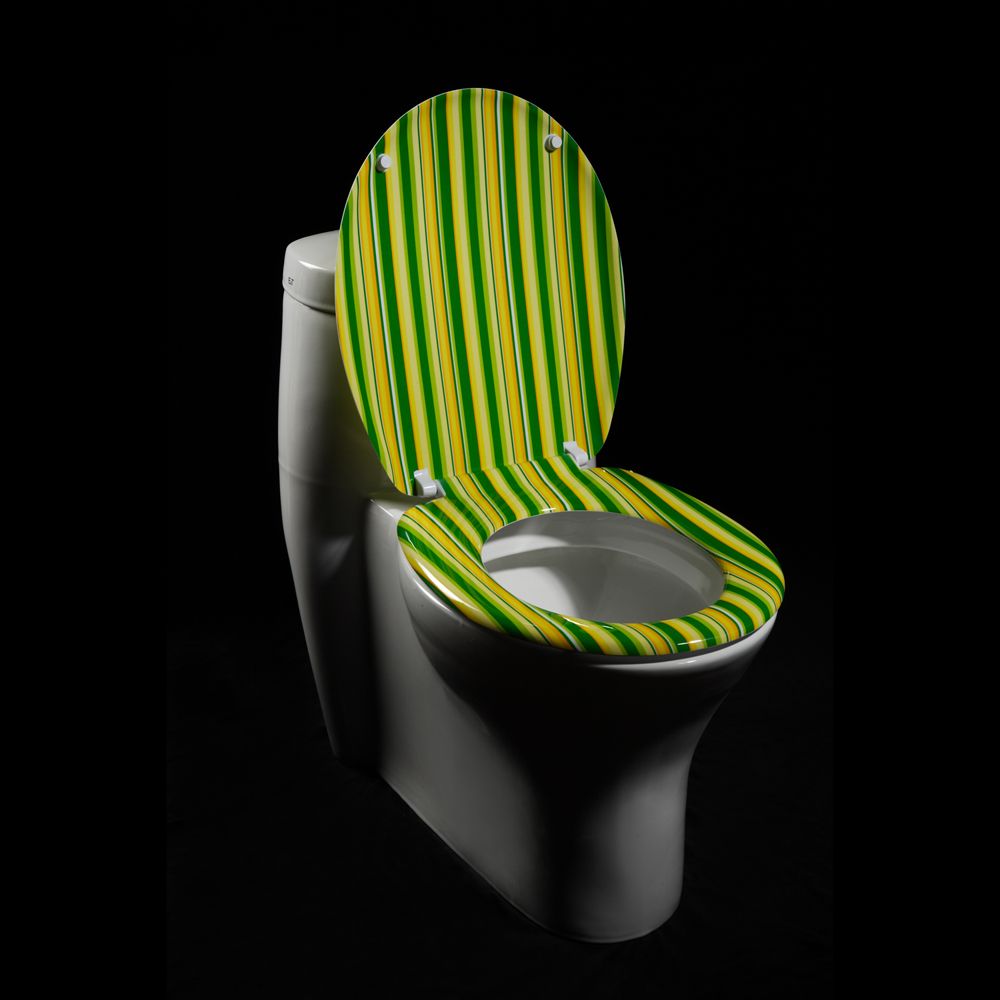 Oxford Creek Green Cabana Stripe Toilet Seat at Kmart.com