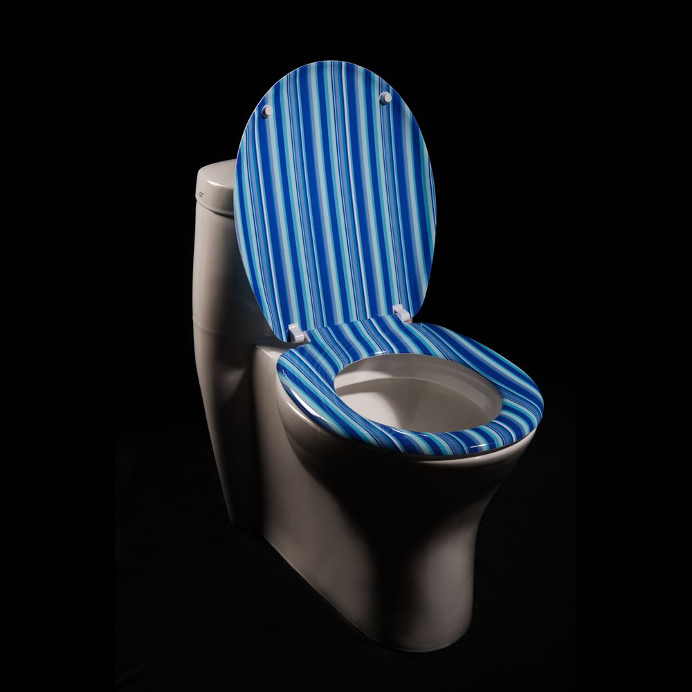 Oxford Creek Blue Cabana Stripe Toilet Seat at Kmart.com