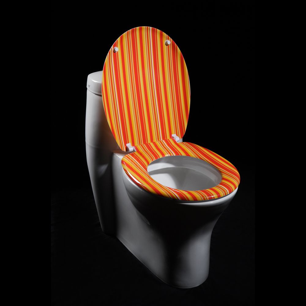 Oxford Creek Orange Cabana Stripe  Toilet Seat at Kmart.com