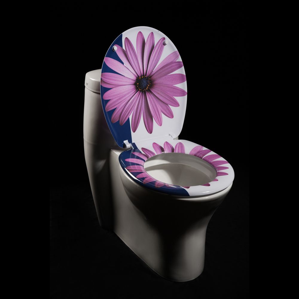 Oxford Creek Purple Daisy Toilet Seat at Sears.com