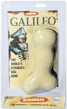 Tfh Publications Inc. Nyl Glalileo Bone Souper at Kmart.com