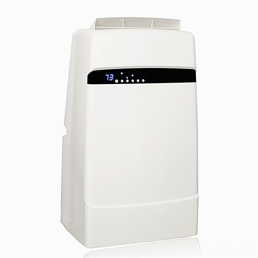 Whynter Whynter Eco-friendly 12000 BTU Dual