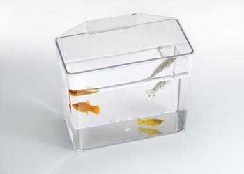 Lee's Aquarium & Pet Products Lee Container Specimen Heavy Duty-Store Use