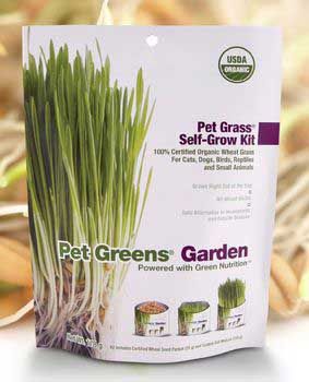 Bellrock Growers Inc. Bel Treat Self Grow Pet Greens 4 oz. at Kmart.com