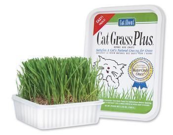Gimborn Usa Gim Treat Grass Plus 5 oz. at Kmart.com