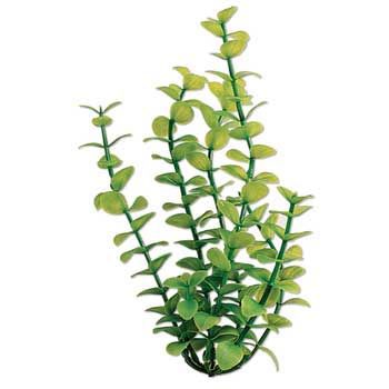 United Pet Group ( Tetra) Tet Plant Water Wonders Green Bacopa 18 in. at Kmart.com