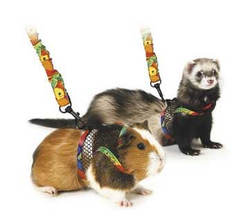 Pets International Ltd. Pts Harness Comfort Harness Medium