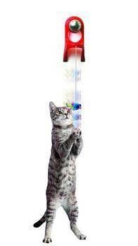 Jw Pet Company Jwp Toy Cat Catapult at Kmart.com