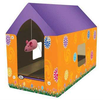 Fou Cat Scratcher House