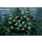 Solar 20 Piece Dragonfly Light String