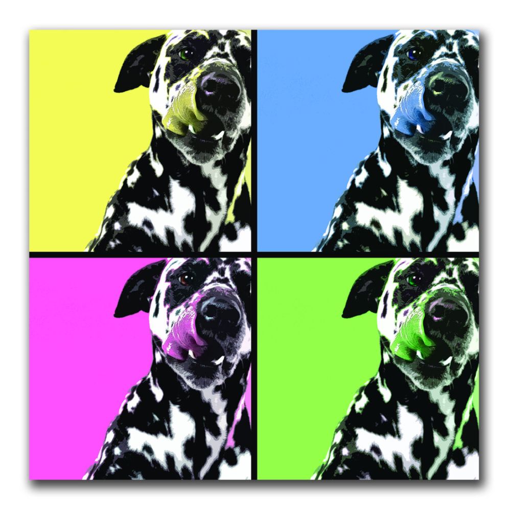 Trademark Art 24x24 inches "Dalmatians" by Gifty Idea Greeting Cards