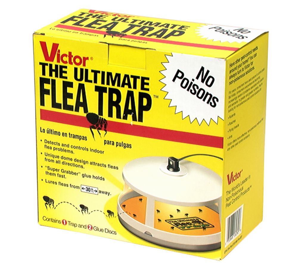 Victor The Ultimate Flea Trap at Sears.com