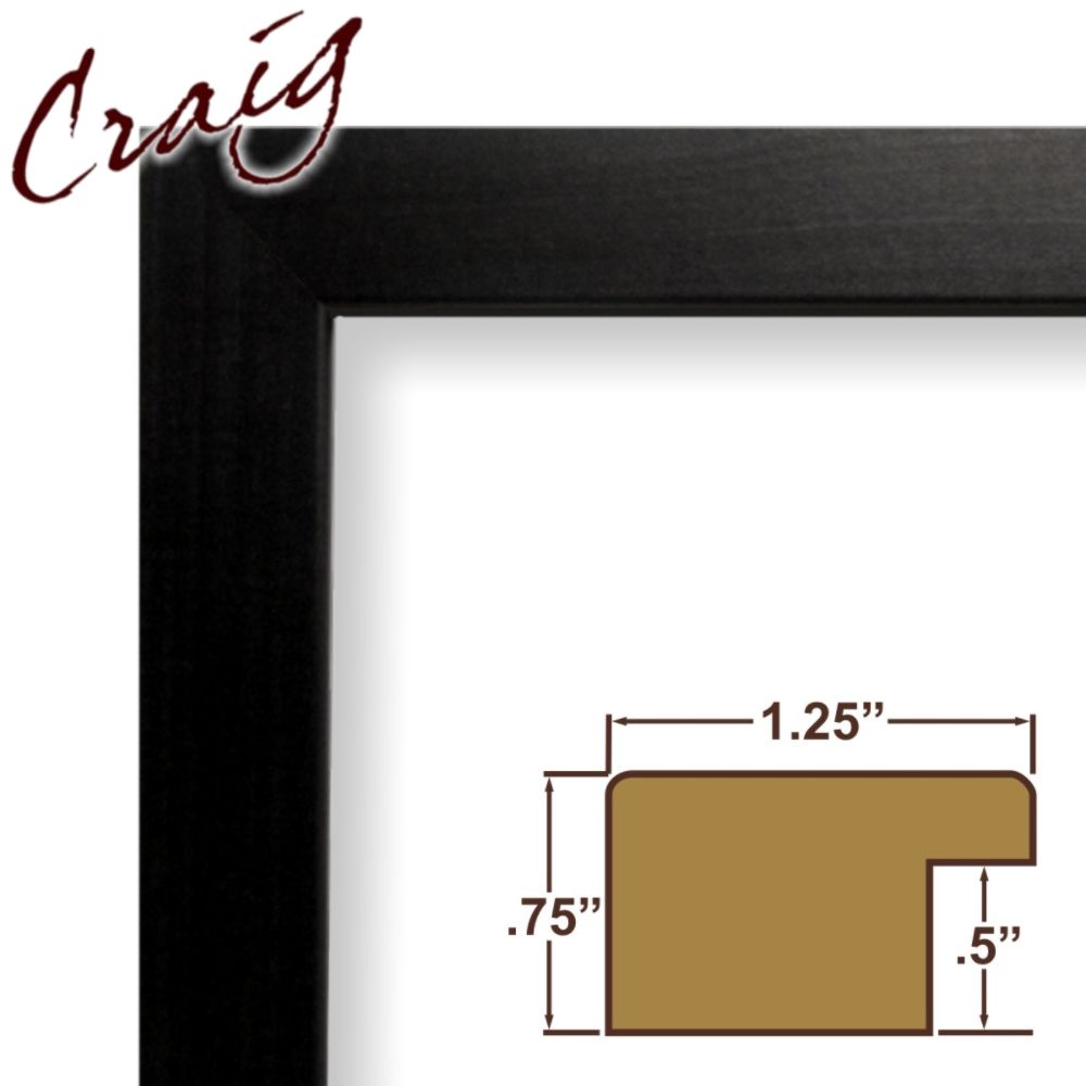 Craig Frames Inc 11x14 Complete 1.25" Wide Black Colori Picture Frame (26020) at Sears.com