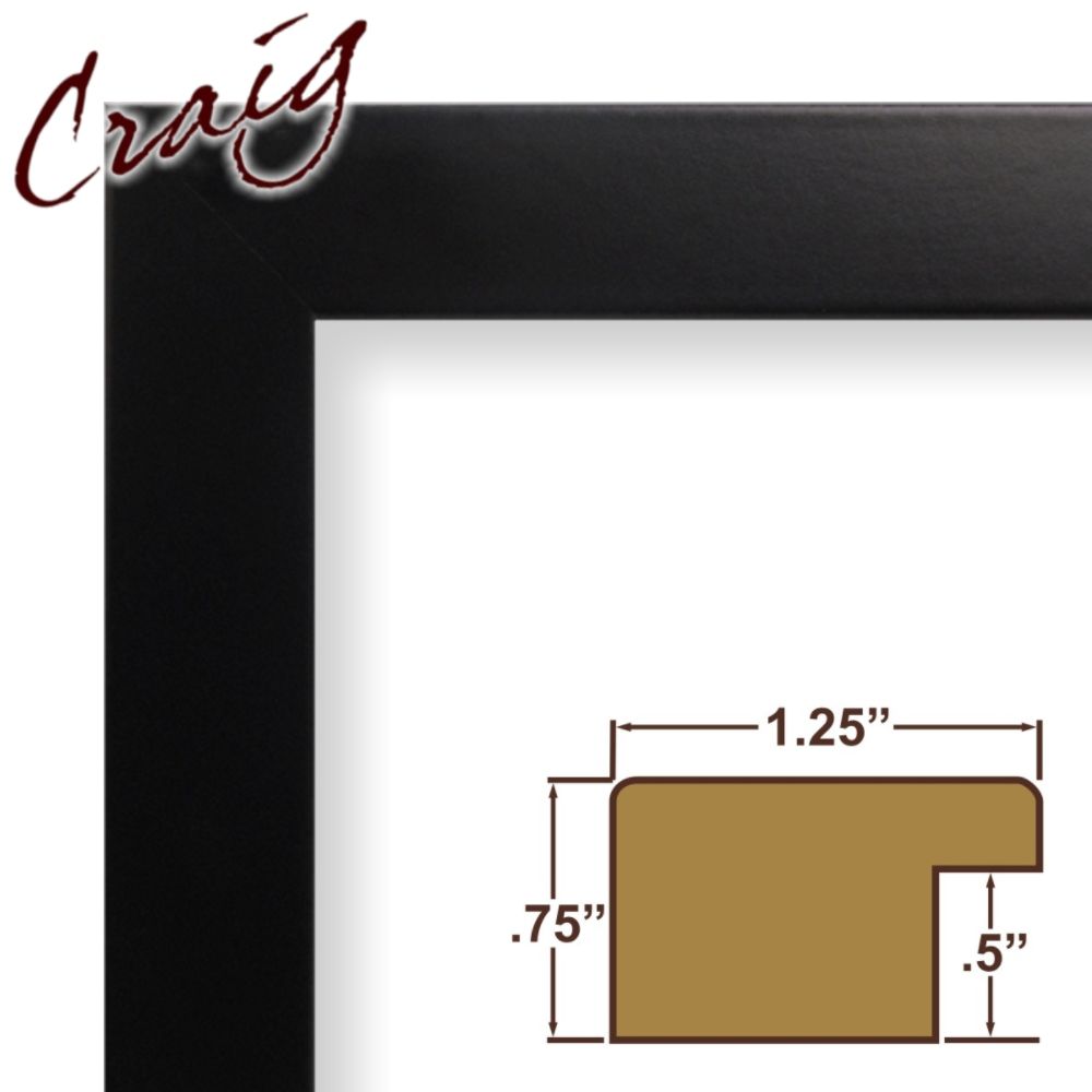 Craig Frames Inc 10x13 Complete 1.25" Wide Black Satin Mica