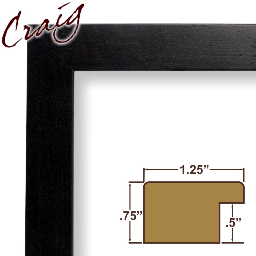 Craig Frames Inc 5x7 Complete 1.25" Wide Black Rustic Pine Picture