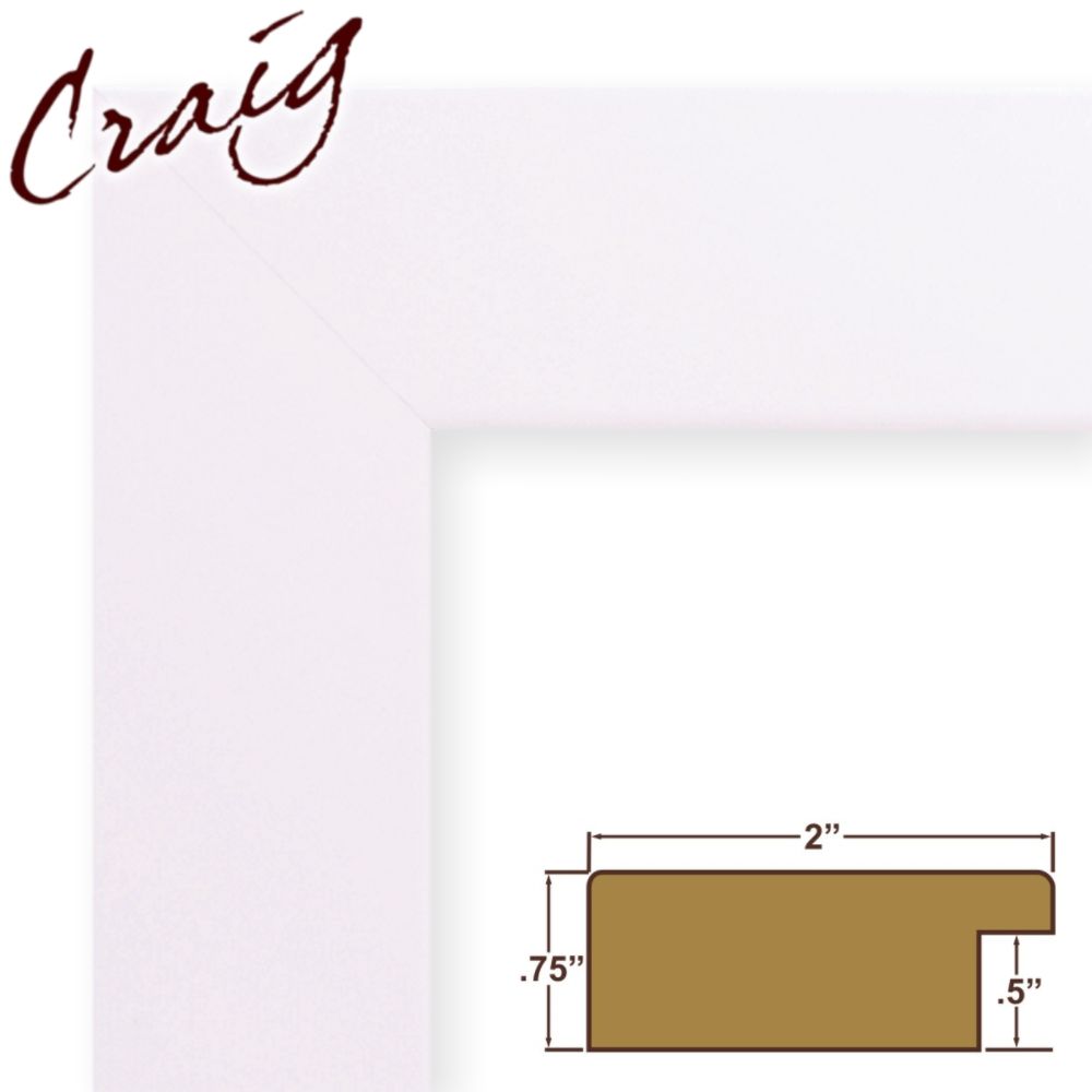 Craig Frames Inc 16x20 Complete 2" Wide White Satin Picture Frame