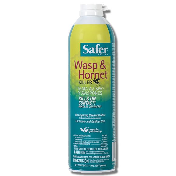 Safer Brand Wasp and Hornet Killer - Aerosol