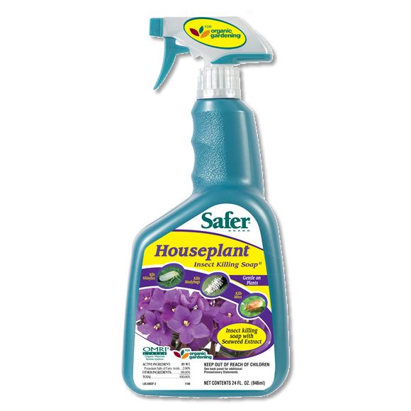 Safer Brand Houseplant Insect Killing Soap, RTU