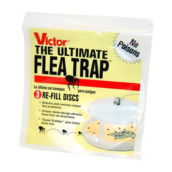 Victor The Ultimate Flea Trap Refills at Kmart.com