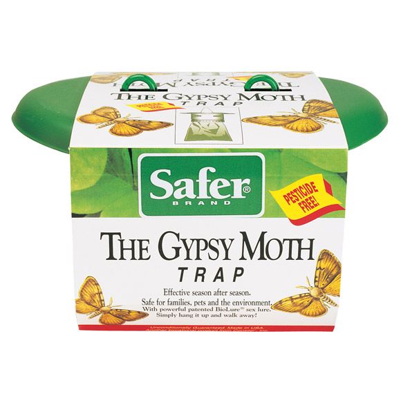 Safer Gypsy Moth Trap at Kmart.com