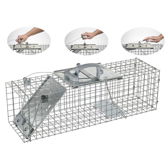 Havahart Easy Set Small Rabbit & Squirrel Trap at Kmart.com
