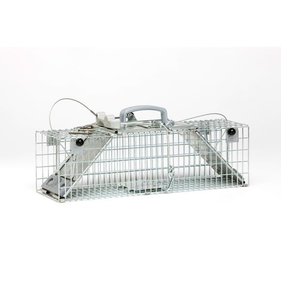 Havahart Easy Set 2-Door Squirrel Trap at Kmart.com