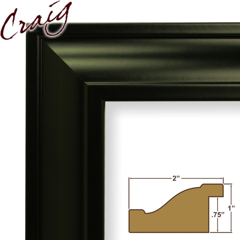 Craig Frames Inc 8x28 Custom 2" Wide Complete Black Picture Frame