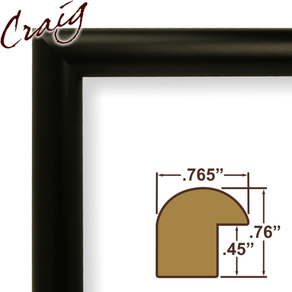Craig Frames Inc 13x35 Custom .765" Wide Complete Matte Black