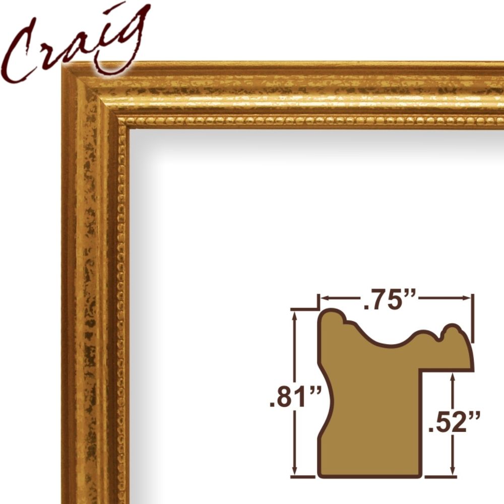 Craig Frames Inc 6x9 Custom .75" Wide Complete Ornate Gold Wood