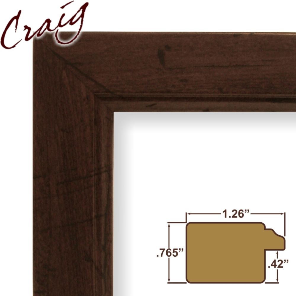 Craig Frames Inc 24x36 Complete 1.26" Wide Dark Brown Picture Frame (61999CO) at Sears.com