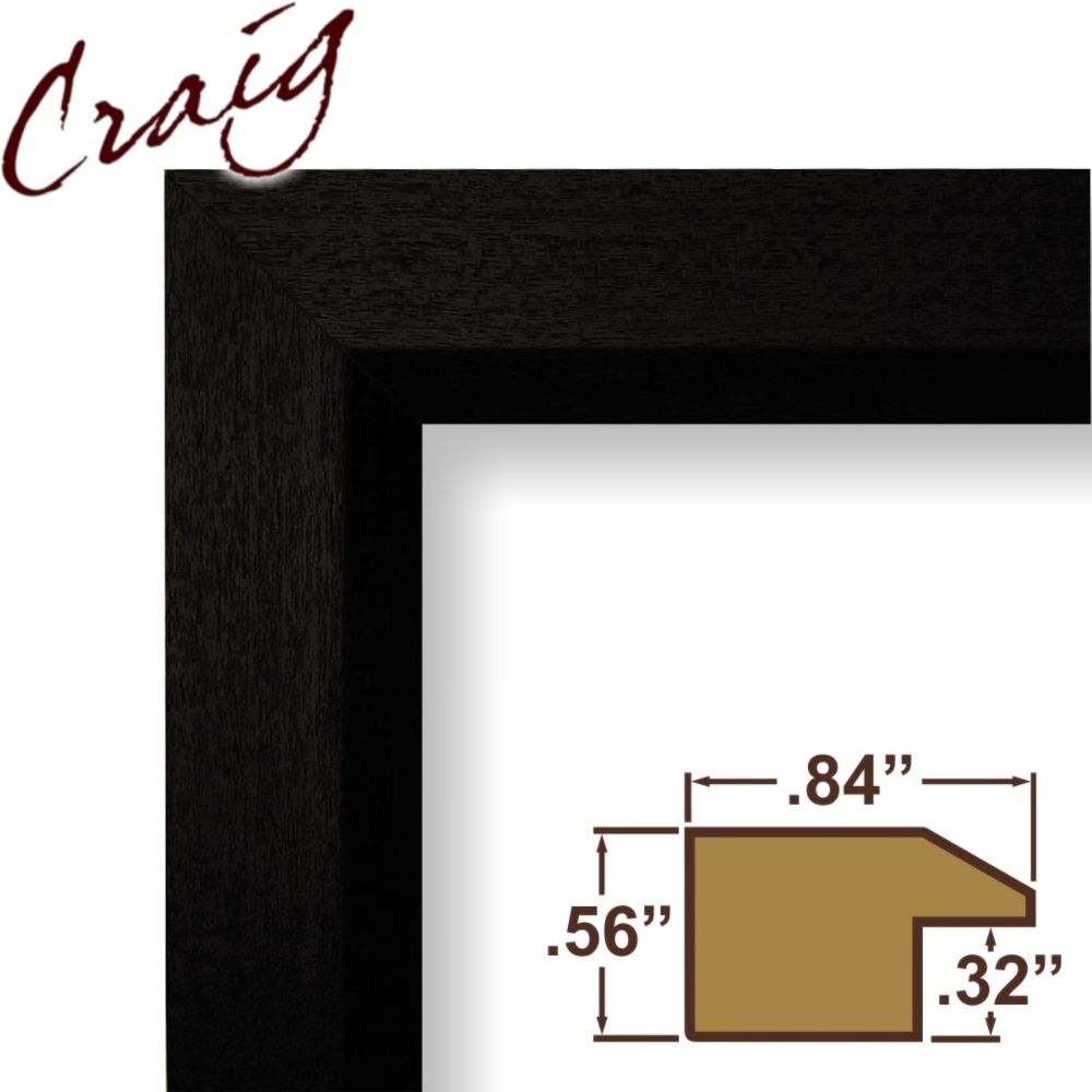 Craig Frames Inc 8x10 Complete Complete Solid Poplar Wood Black