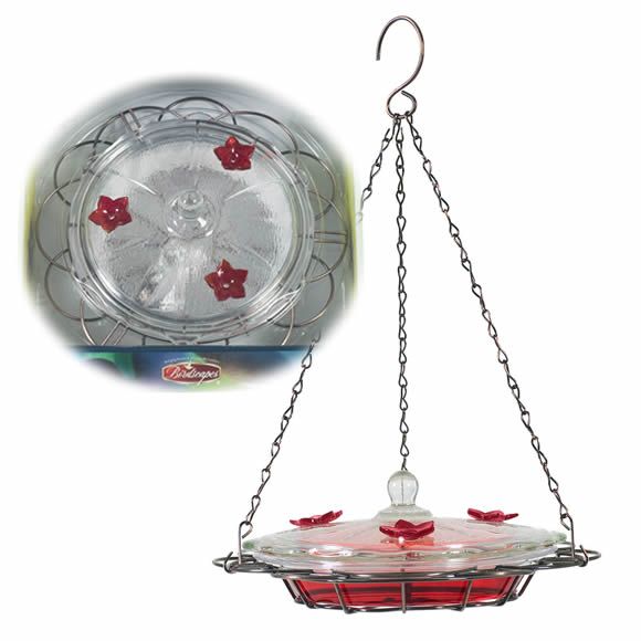 Birdscapes Hummingbird Oasis Feeder at Sears.com