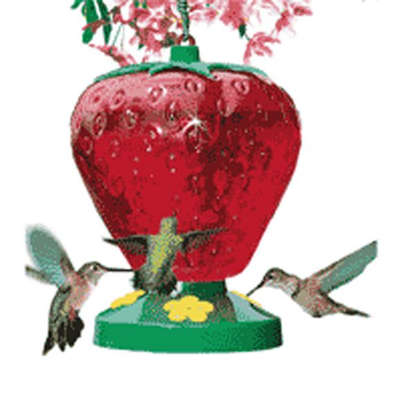 PerkyPet Strawberry Hummingbird Feeder