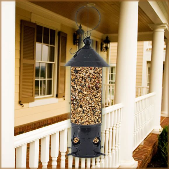 Avant Garden North Star Wild Bird Feeder