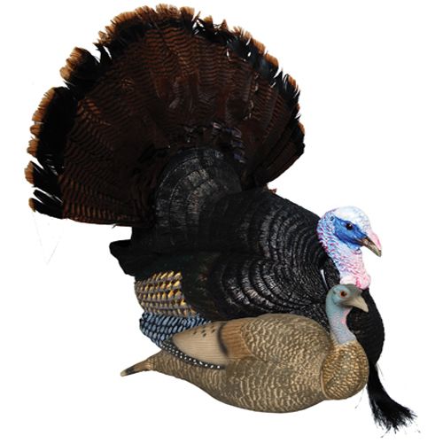 Carry-Lite Peep N Tom/Pretty Penny Q5860 Decoy at Sears.com