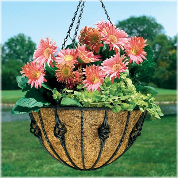 Cobraco Antoinette Hanging Basket at Sears.com