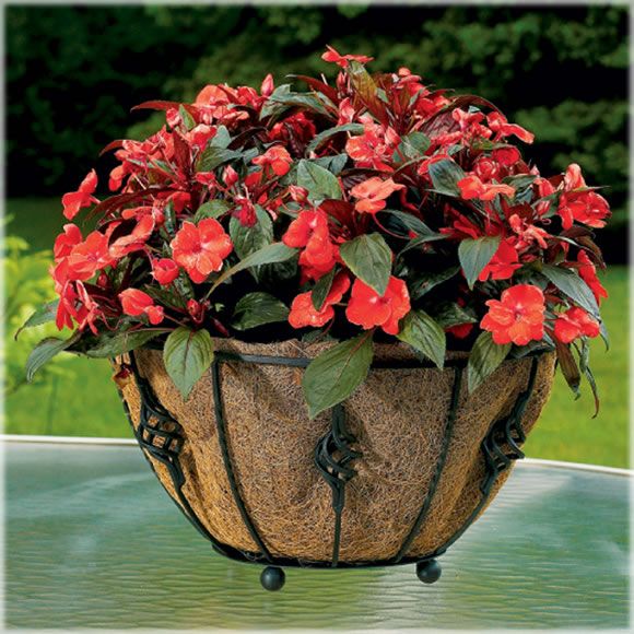Cobraco&nbsp; Antoinette Floor Planter
