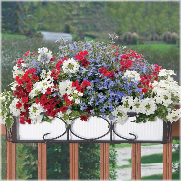 Cobraco Kingston Flower Box Holder - Bronze at Sears.com