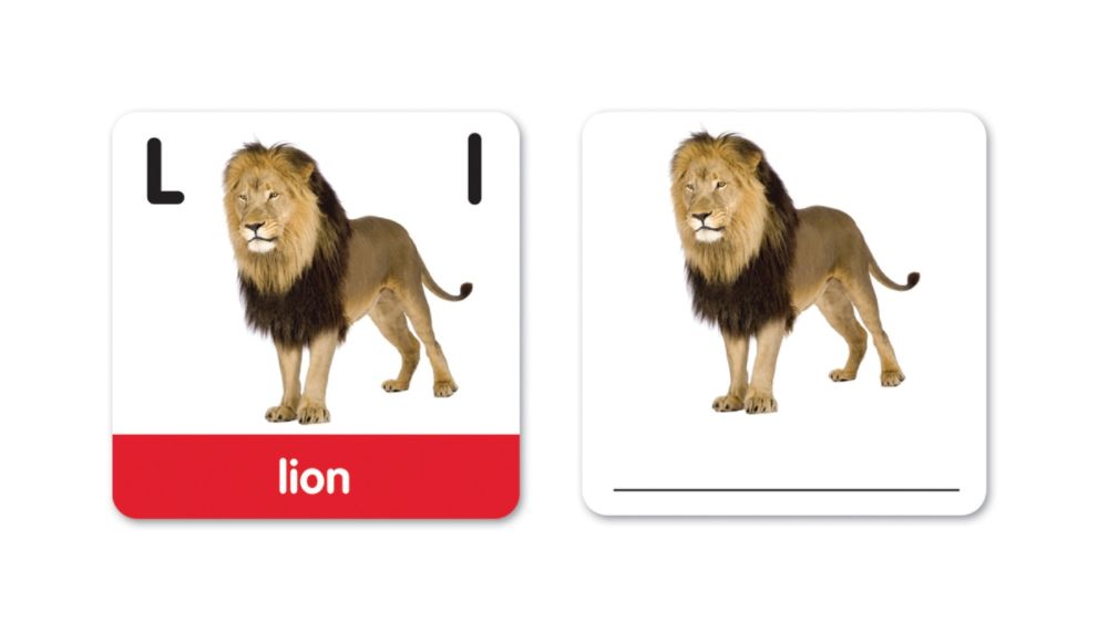 Learning Resources Alphabet Photo Cards Children's Toys