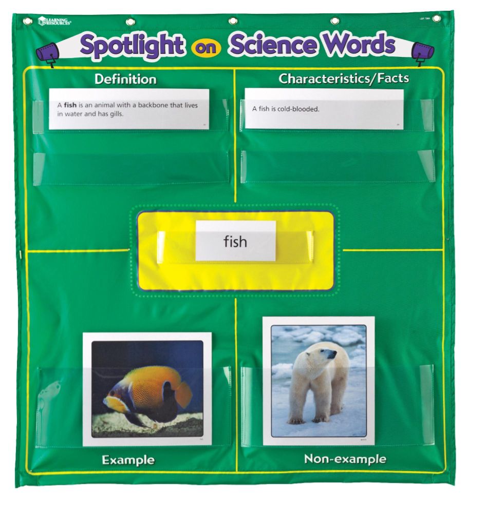 Learning Resources Spotlight On Science Words at Kmart.com
