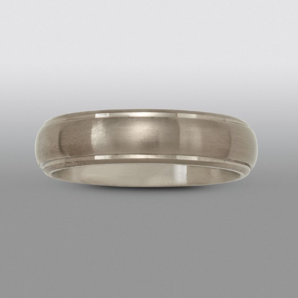 6mm Wedding Band in Titanium at Sears.com
